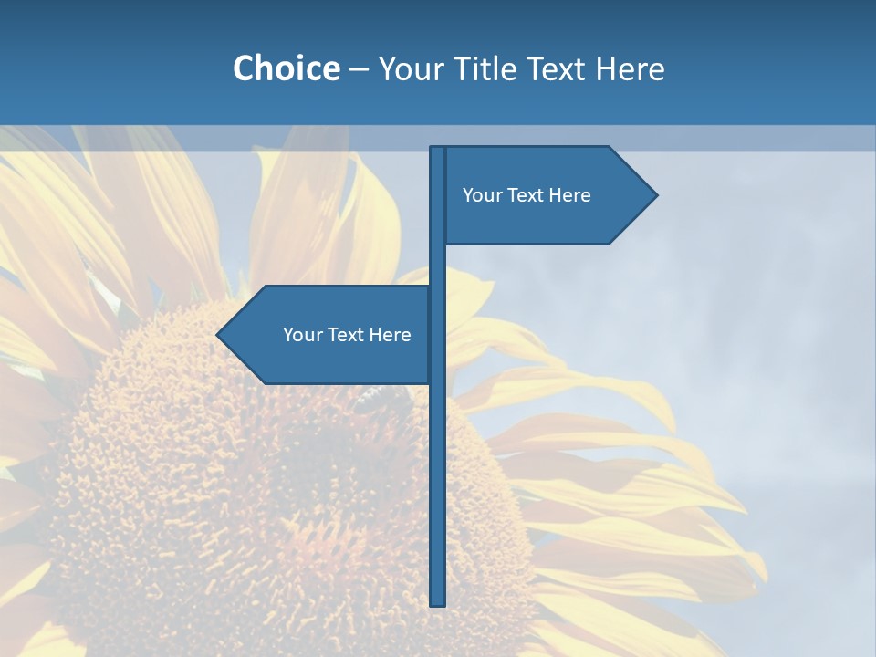 Happy Older Man Flexing During His Fitness Routine; Isolated On White PowerPoint Template