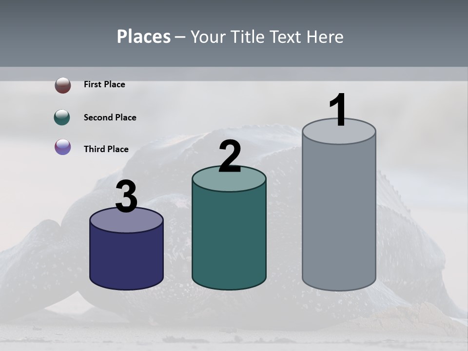 Leatherback Sea Turtle Crawling Up The Beach To Complete The Nesting Process PowerPoint Template