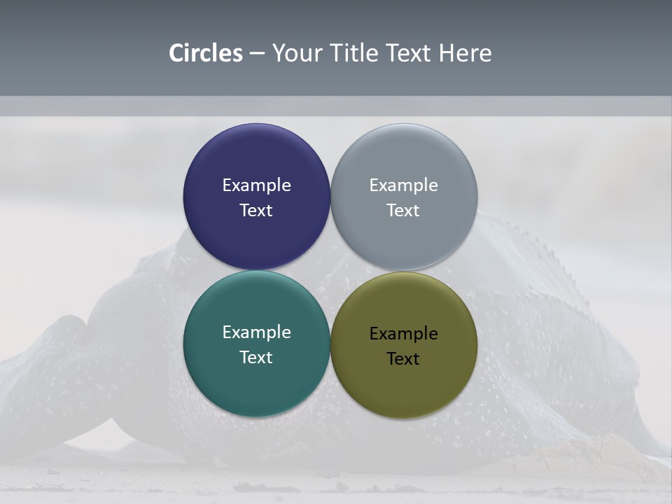 Leatherback Sea Turtle Crawling Up The Beach To Complete The Nesting Process PowerPoint Template