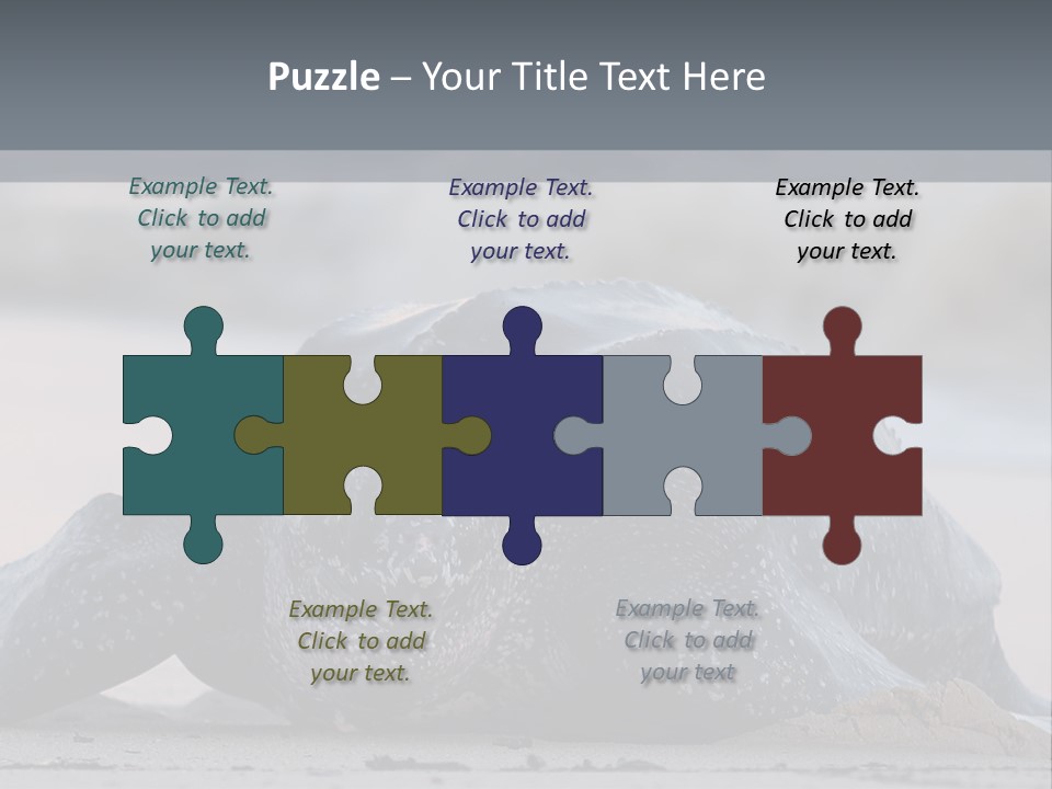 Leatherback Sea Turtle Crawling Up The Beach To Complete The Nesting Process PowerPoint Template