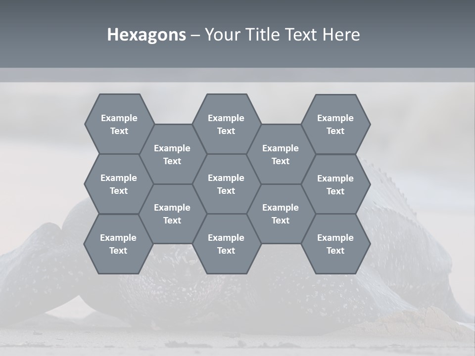Leatherback Sea Turtle Crawling Up The Beach To Complete The Nesting Process PowerPoint Template