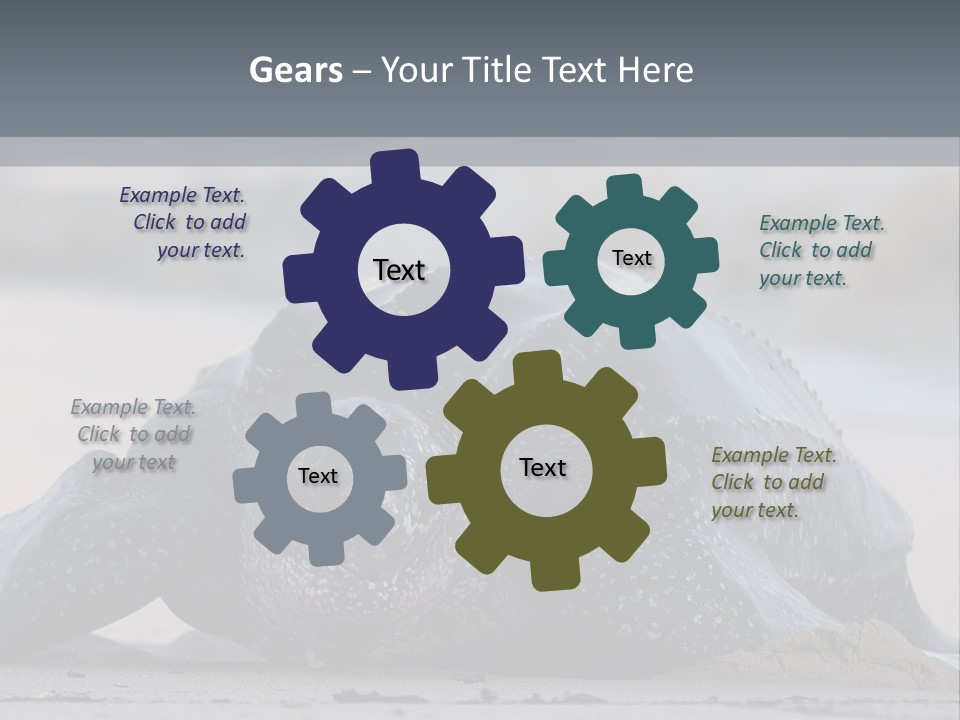 Leatherback Sea Turtle Crawling Up The Beach To Complete The Nesting Process PowerPoint Template
