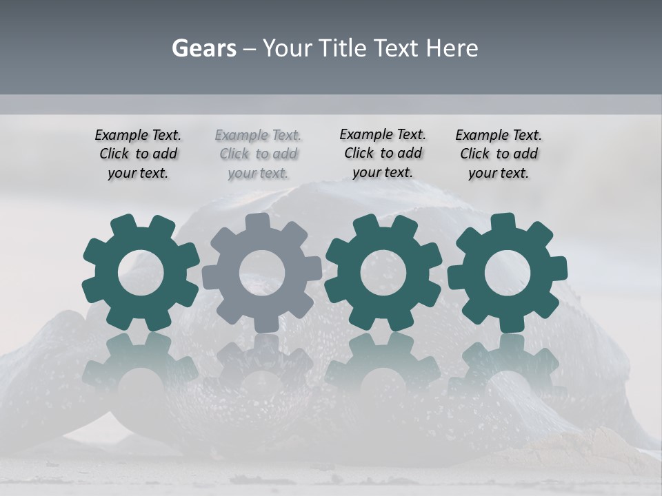 Leatherback Sea Turtle Crawling Up The Beach To Complete The Nesting Process PowerPoint Template