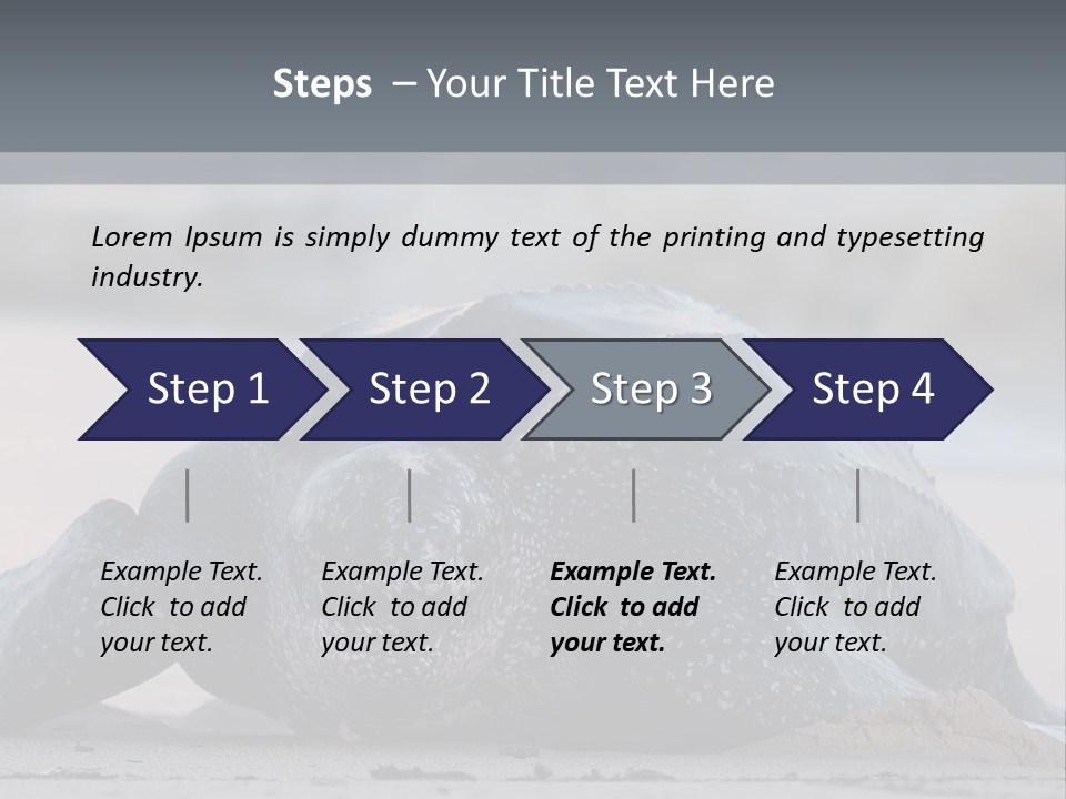 Leatherback Sea Turtle Crawling Up The Beach To Complete The Nesting Process PowerPoint Template