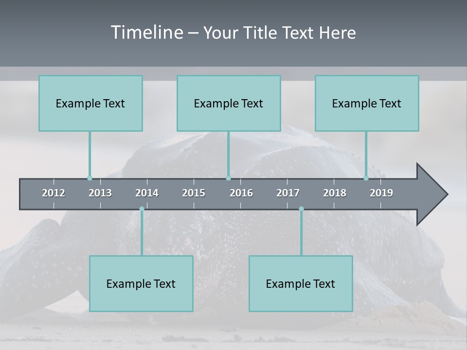 Leatherback Sea Turtle Crawling Up The Beach To Complete The Nesting Process PowerPoint Template