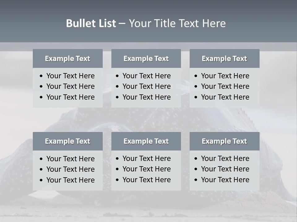 Leatherback Sea Turtle Crawling Up The Beach To Complete The Nesting Process PowerPoint Template