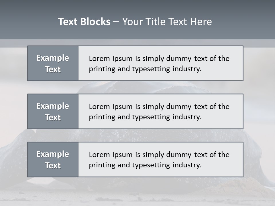 Leatherback Sea Turtle Crawling Up The Beach To Complete The Nesting Process PowerPoint Template