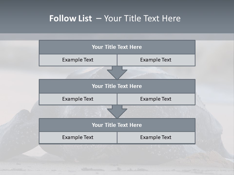 Leatherback Sea Turtle Crawling Up The Beach To Complete The Nesting Process PowerPoint Template