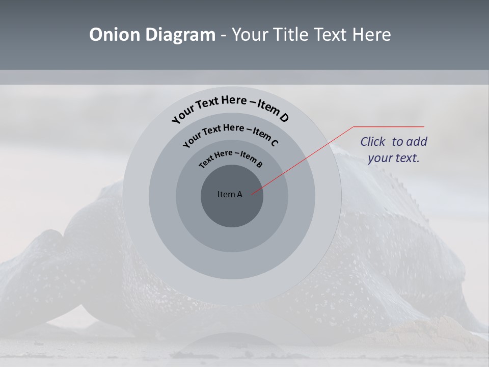 Leatherback Sea Turtle Crawling Up The Beach To Complete The Nesting Process PowerPoint Template