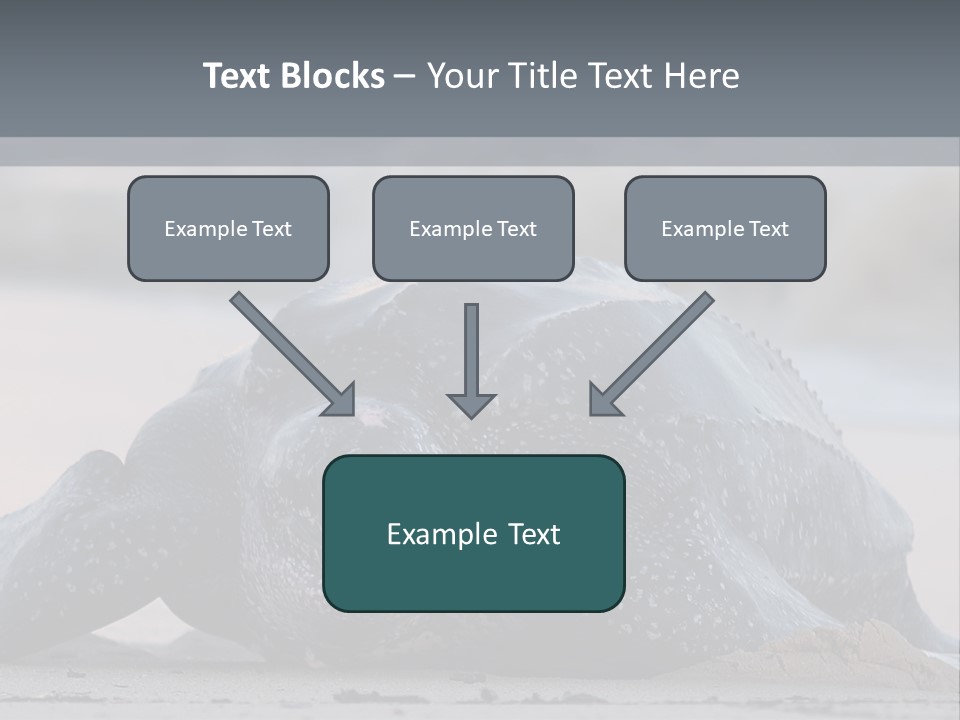 Leatherback Sea Turtle Crawling Up The Beach To Complete The Nesting Process PowerPoint Template