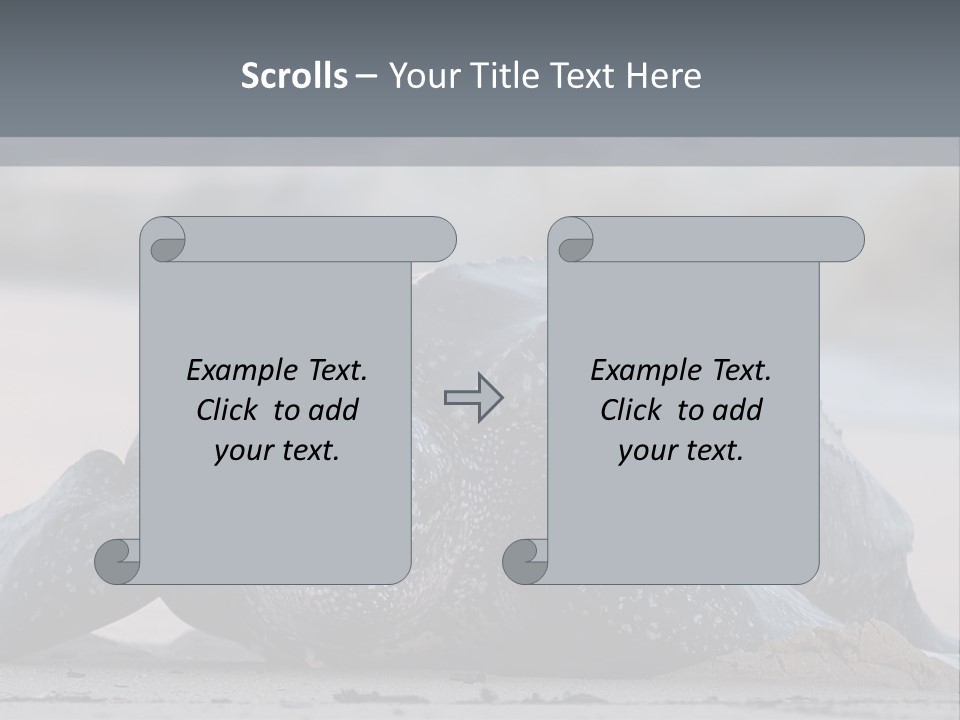 Leatherback Sea Turtle Crawling Up The Beach To Complete The Nesting Process PowerPoint Template