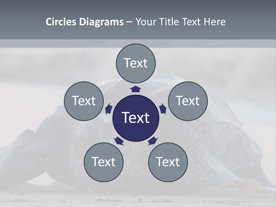 Leatherback Sea Turtle Crawling Up The Beach To Complete The Nesting Process PowerPoint Template