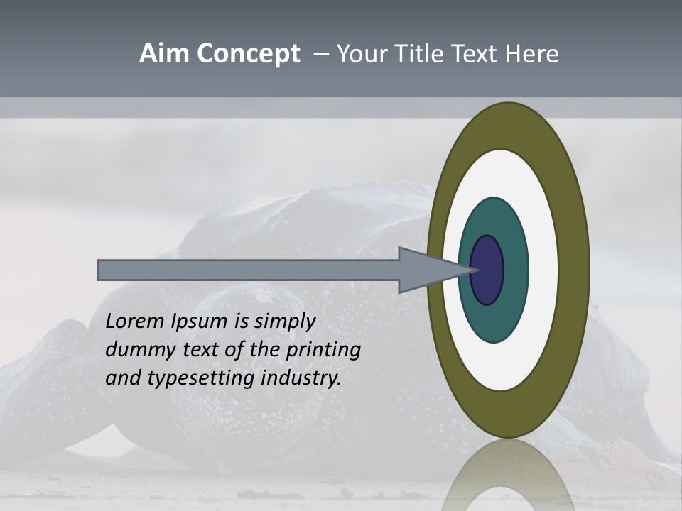 Leatherback Sea Turtle Crawling Up The Beach To Complete The Nesting Process PowerPoint Template