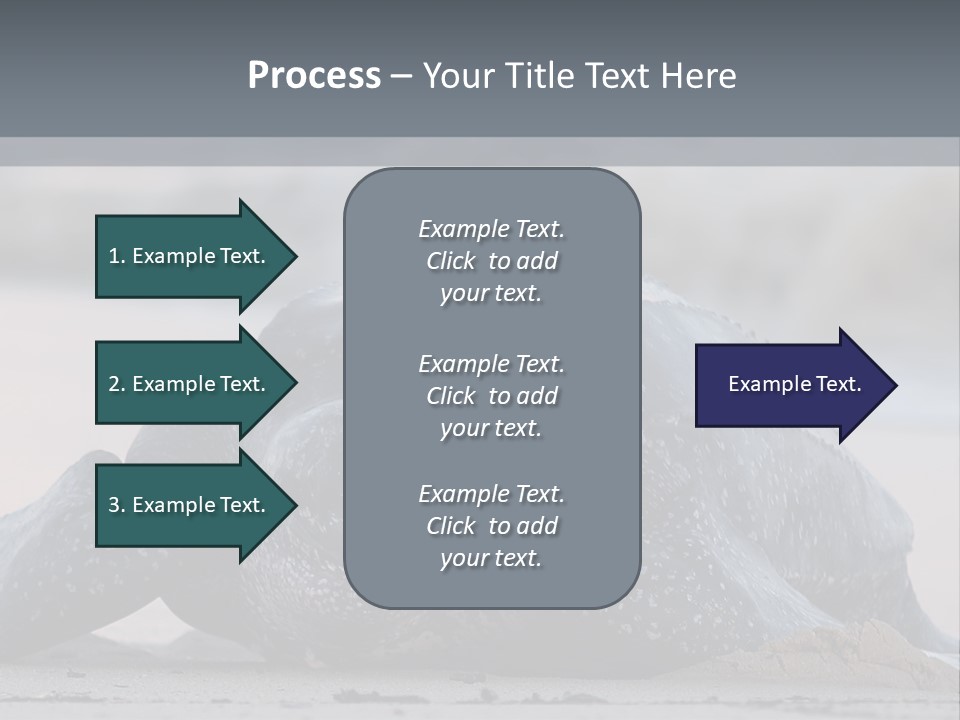Leatherback Sea Turtle Crawling Up The Beach To Complete The Nesting Process PowerPoint Template