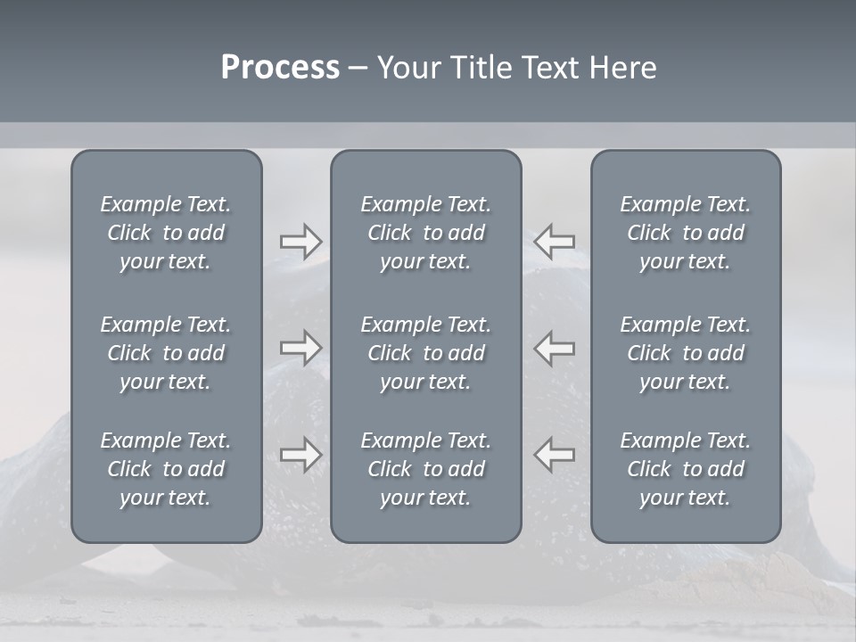 Leatherback Sea Turtle Crawling Up The Beach To Complete The Nesting Process PowerPoint Template
