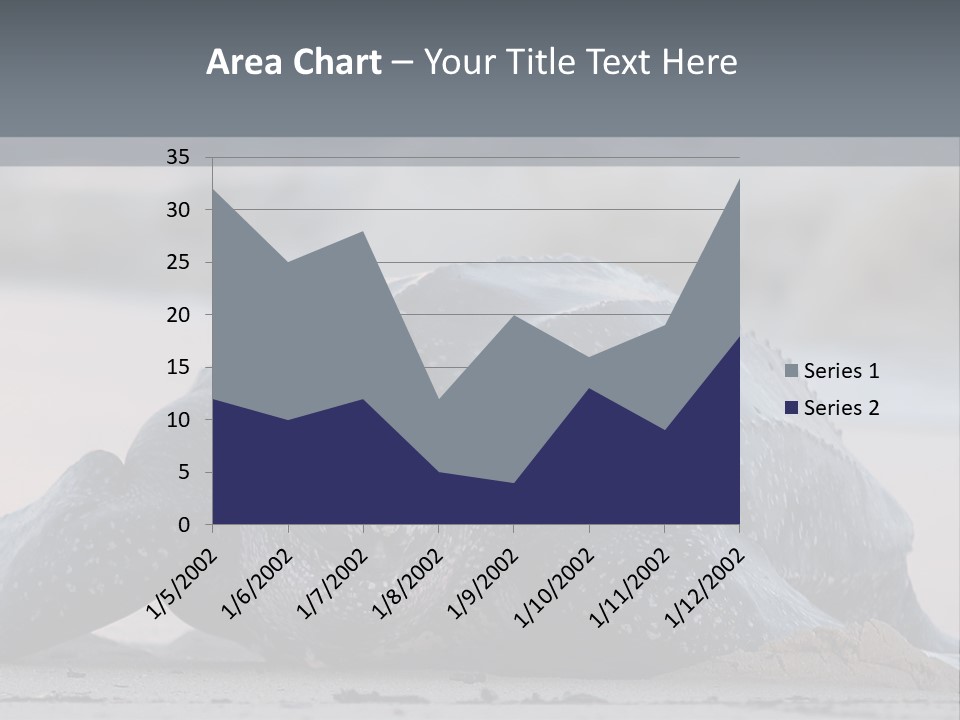 Leatherback Sea Turtle Crawling Up The Beach To Complete The Nesting Process PowerPoint Template