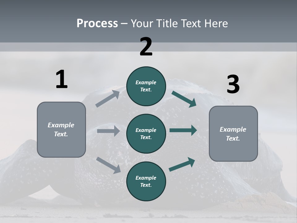 Leatherback Sea Turtle Crawling Up The Beach To Complete The Nesting Process PowerPoint Template