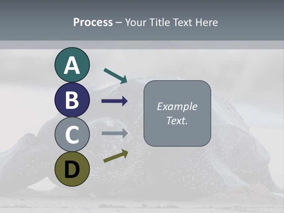 Leatherback Sea Turtle Crawling Up The Beach To Complete The Nesting Process PowerPoint Template