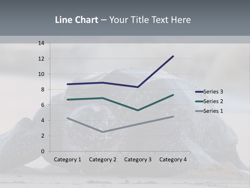 Leatherback Sea Turtle Crawling Up The Beach To Complete The Nesting Process PowerPoint Template