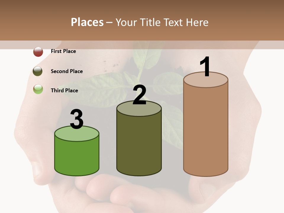 Children's Hands Hold A Young Plant PowerPoint Template