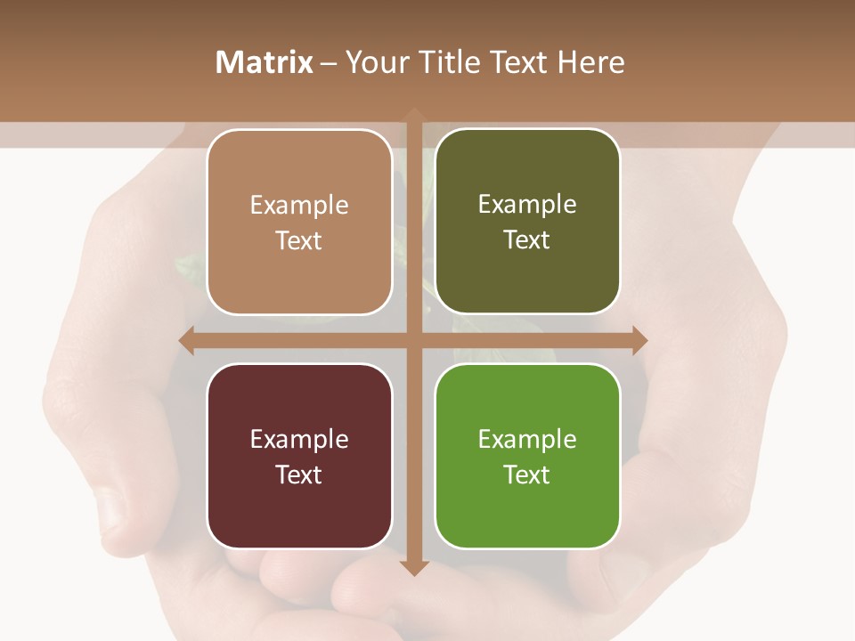 Children's Hands Hold A Young Plant PowerPoint Template