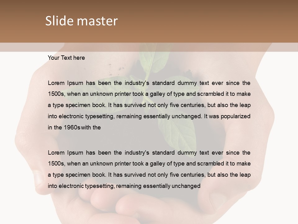 Children's Hands Hold A Young Plant PowerPoint Template