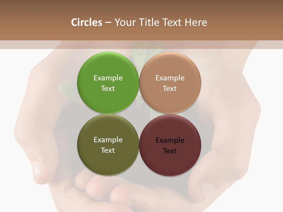 Children's Hands Hold A Young Plant PowerPoint Template