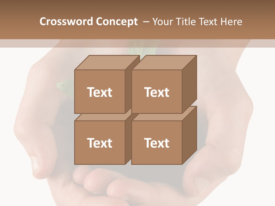 Children's Hands Hold A Young Plant PowerPoint Template