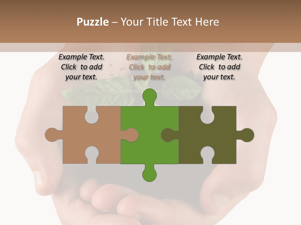 Children's Hands Hold A Young Plant PowerPoint Template