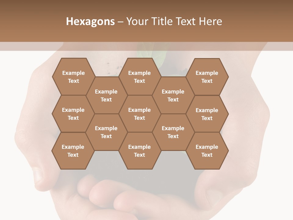 Children's Hands Hold A Young Plant PowerPoint Template