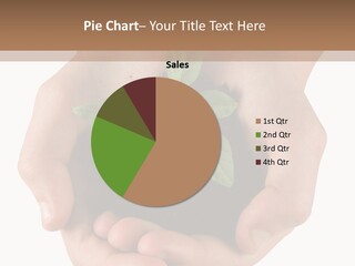 Children's Hands Hold A Young Plant PowerPoint Template