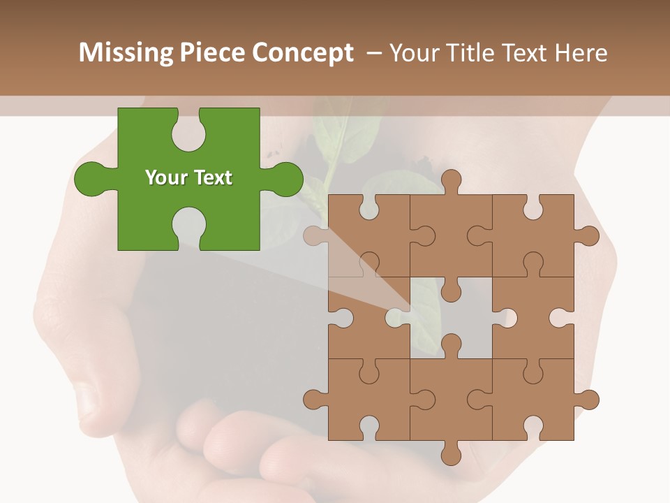 Children's Hands Hold A Young Plant PowerPoint Template