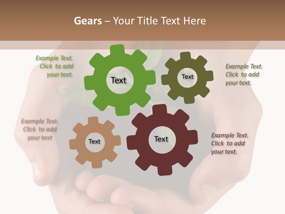 Children's Hands Hold A Young Plant PowerPoint Template