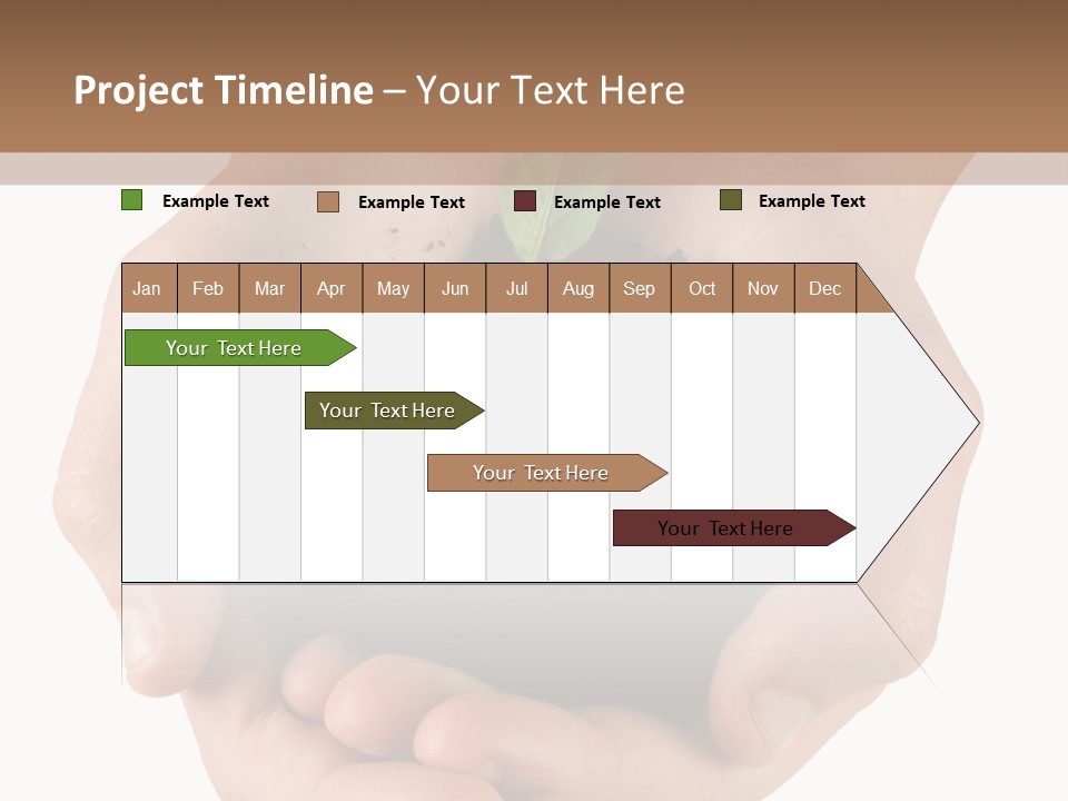 Children's Hands Hold A Young Plant PowerPoint Template