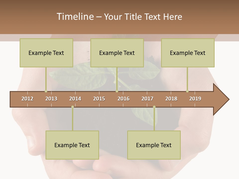 Children's Hands Hold A Young Plant PowerPoint Template