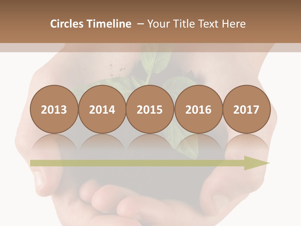 Children's Hands Hold A Young Plant PowerPoint Template