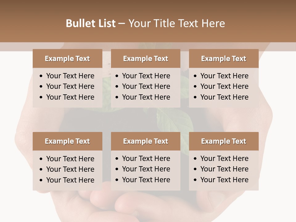 Children's Hands Hold A Young Plant PowerPoint Template