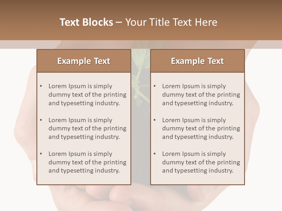 Children's Hands Hold A Young Plant PowerPoint Template