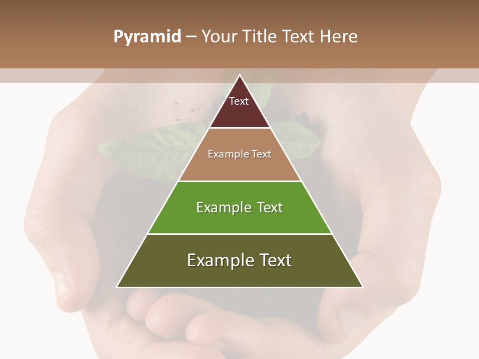 Children's Hands Hold A Young Plant PowerPoint Template