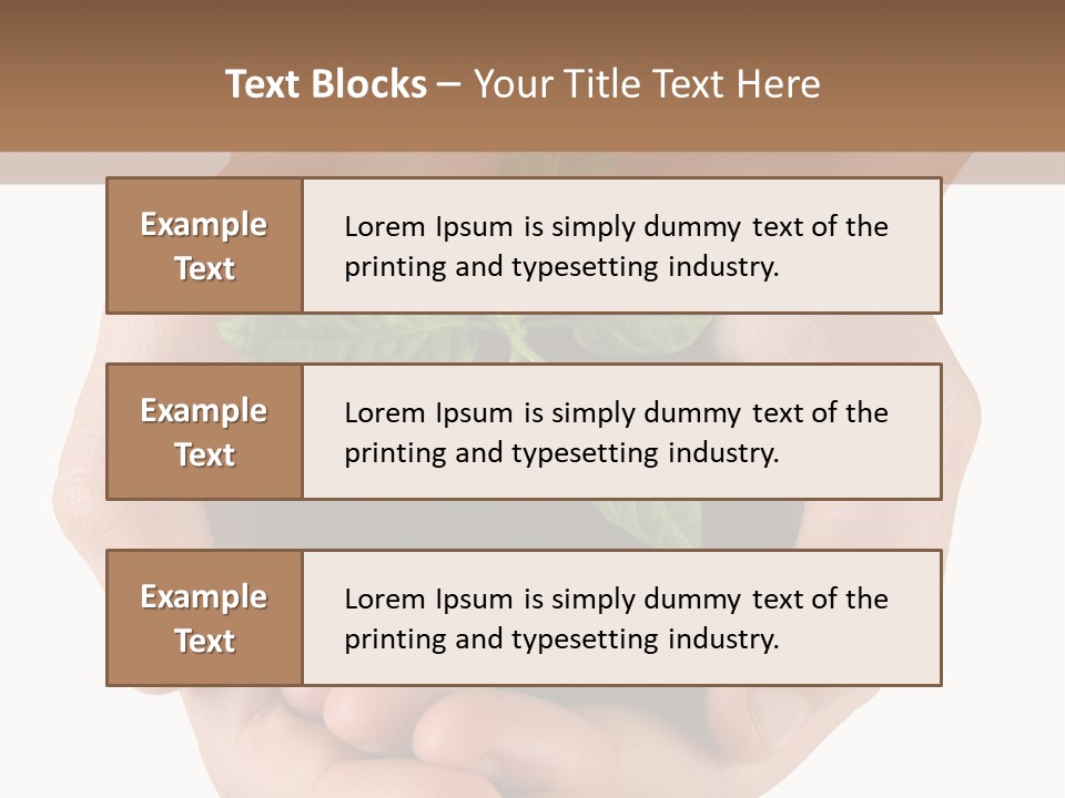 Children's Hands Hold A Young Plant PowerPoint Template