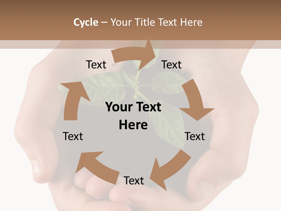 Children's Hands Hold A Young Plant PowerPoint Template
