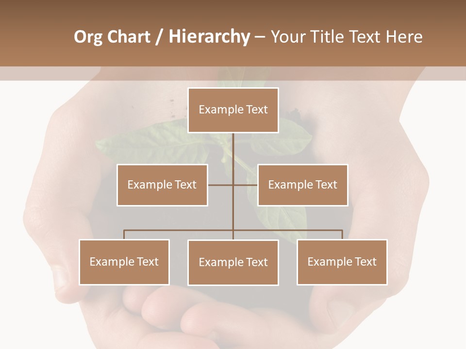 Children's Hands Hold A Young Plant PowerPoint Template