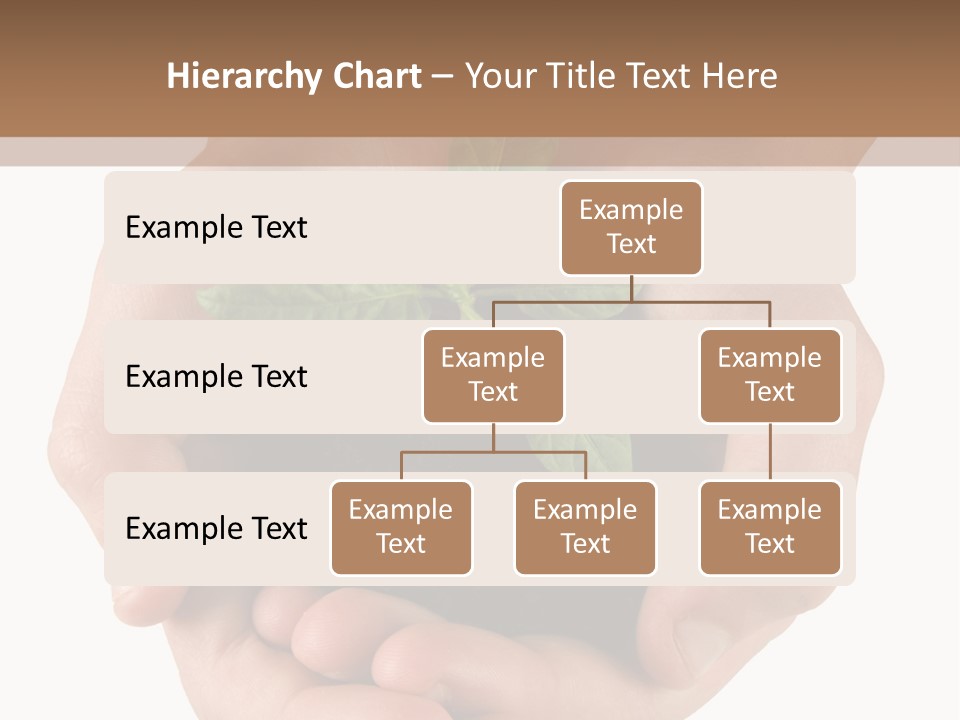 Children's Hands Hold A Young Plant PowerPoint Template