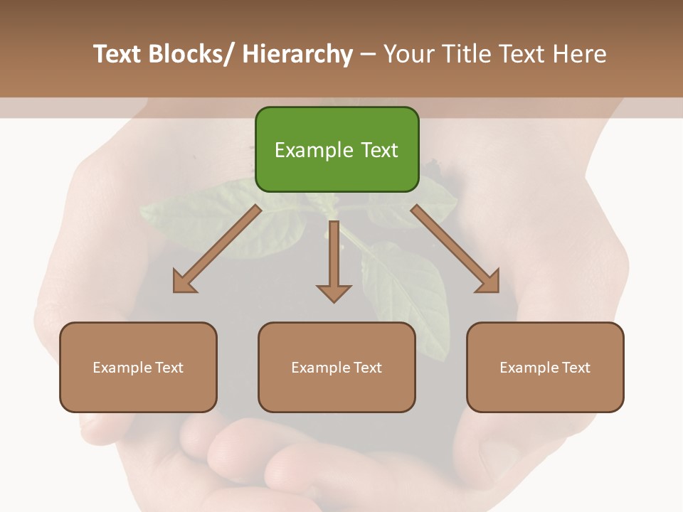 Children's Hands Hold A Young Plant PowerPoint Template