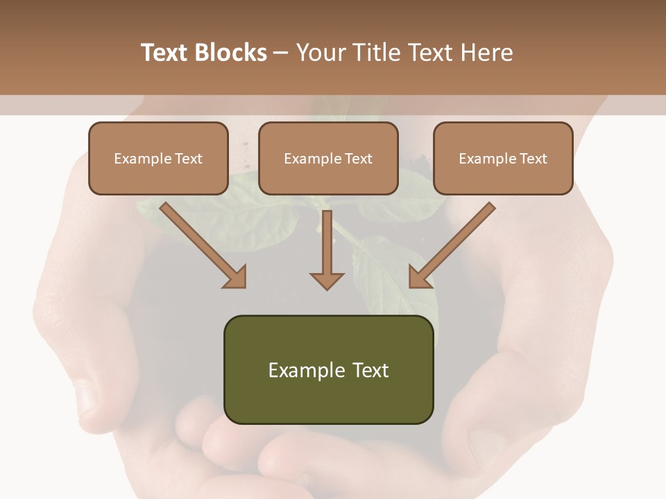 Children's Hands Hold A Young Plant PowerPoint Template