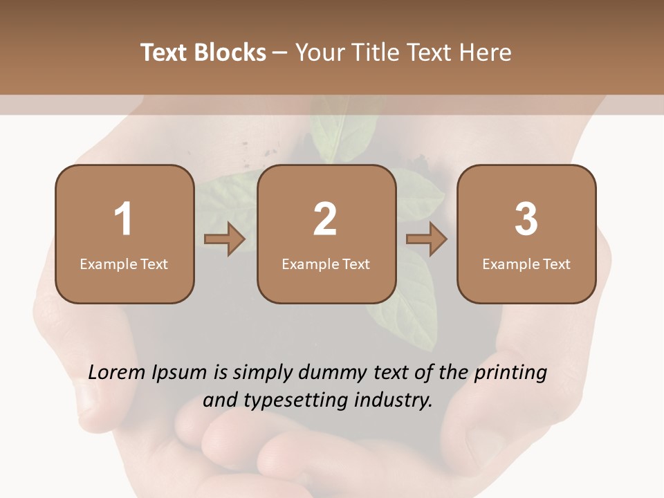 Children's Hands Hold A Young Plant PowerPoint Template