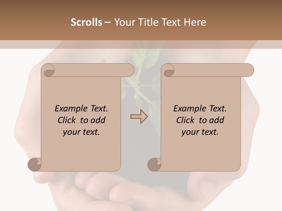 Children's Hands Hold A Young Plant PowerPoint Template
