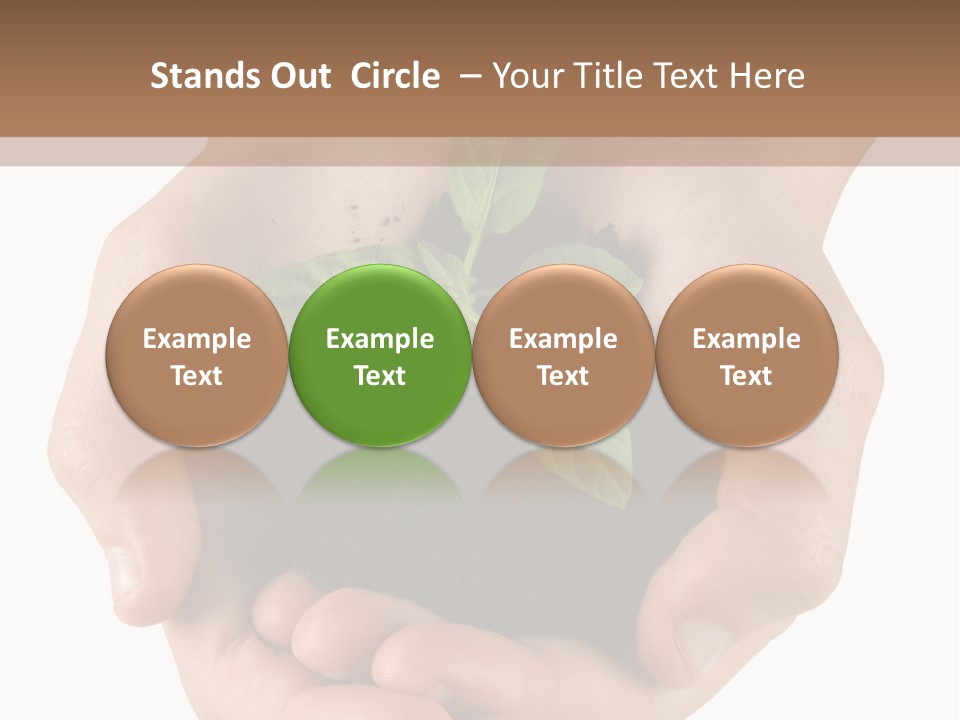 Children's Hands Hold A Young Plant PowerPoint Template