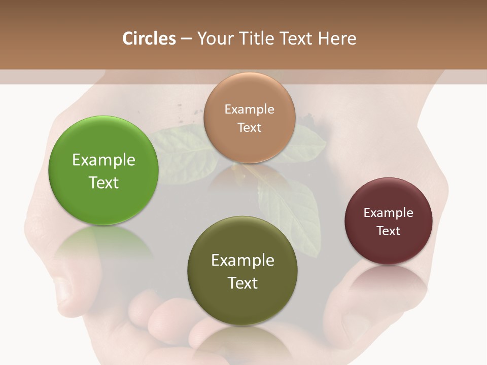 Children's Hands Hold A Young Plant PowerPoint Template