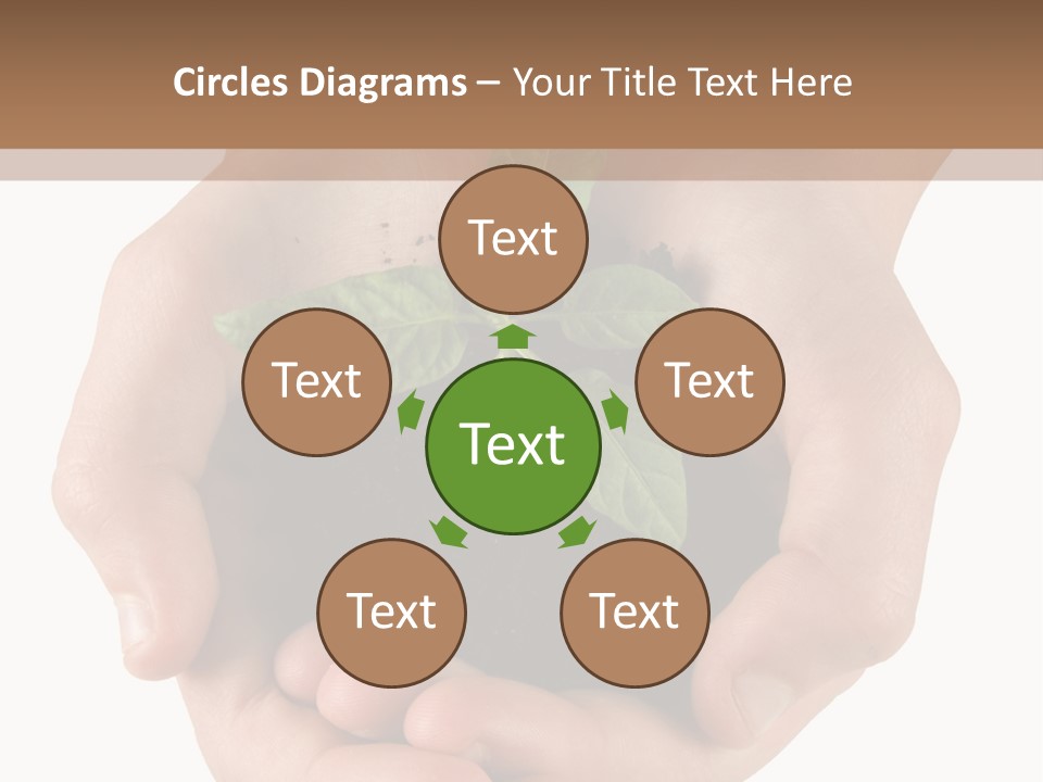 Children's Hands Hold A Young Plant PowerPoint Template